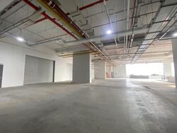 Ct Foodnex (D25), Factory #575910361